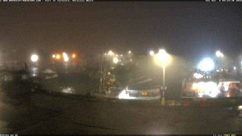 Marginal Wharf South