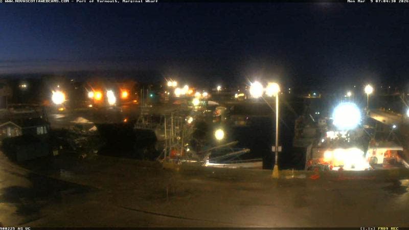 Marginal Wharf South