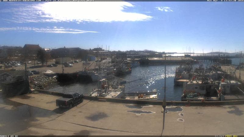 Marginal Wharf South