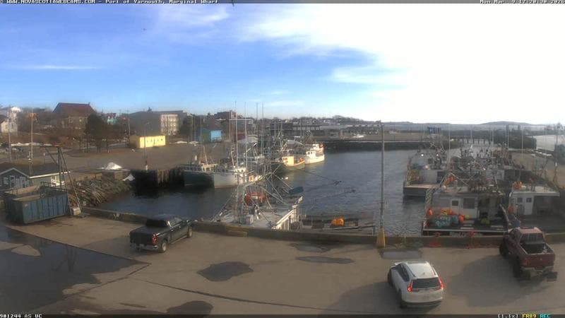 Marginal Wharf South