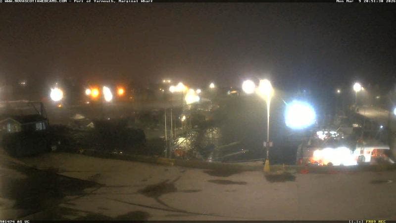 Marginal Wharf South