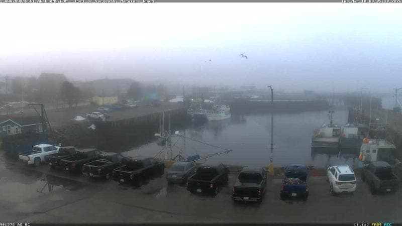 Marginal Wharf South