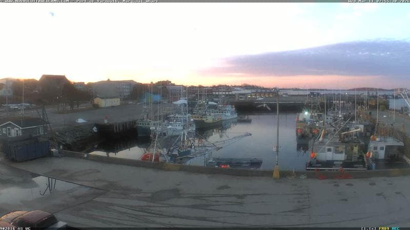 Marginal Wharf South