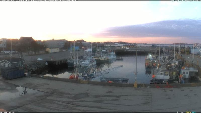 Marginal Wharf South