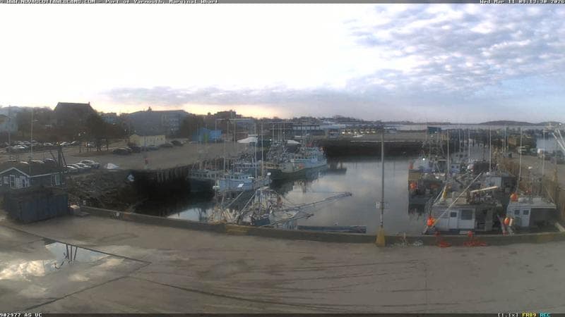 Marginal Wharf South