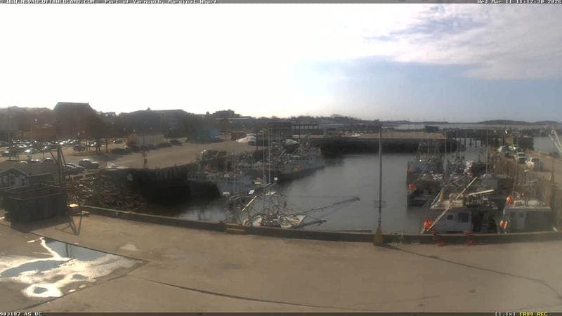 Marginal Wharf South