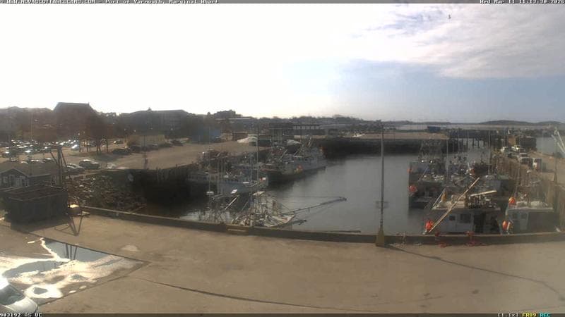 Marginal Wharf South