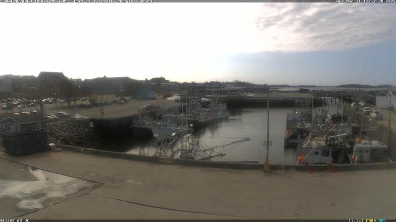 Marginal Wharf South