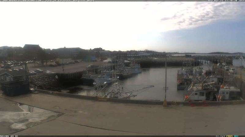 Marginal Wharf South