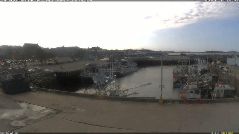 Marginal Wharf South