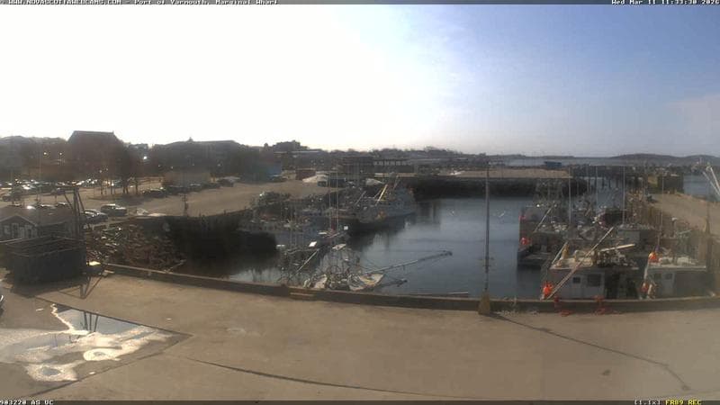 Marginal Wharf South