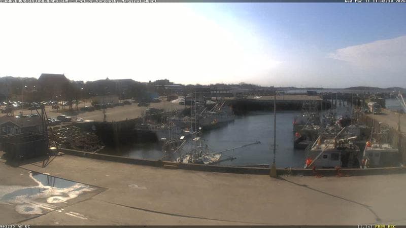 Marginal Wharf South