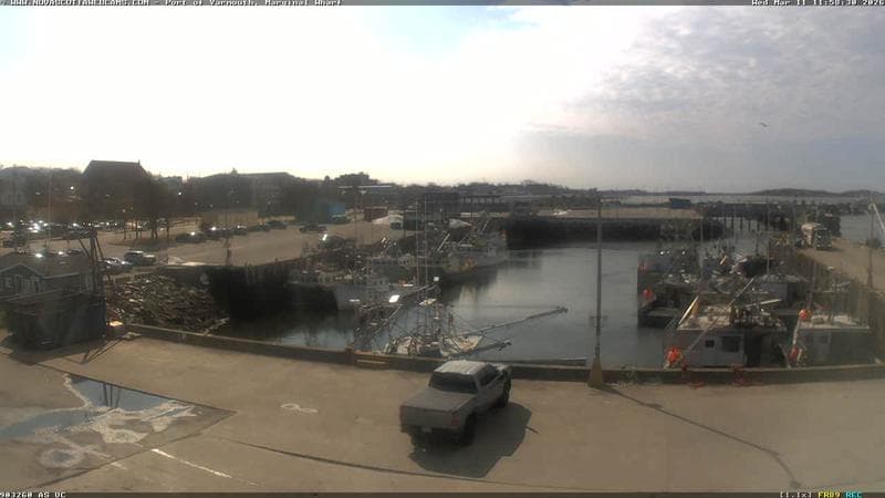 Marginal Wharf South