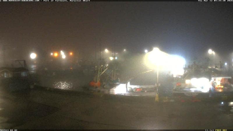 Marginal Wharf South