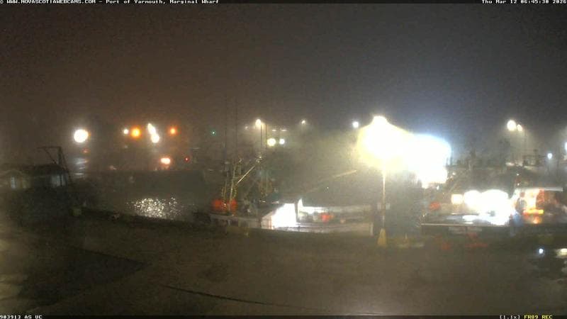 Marginal Wharf South