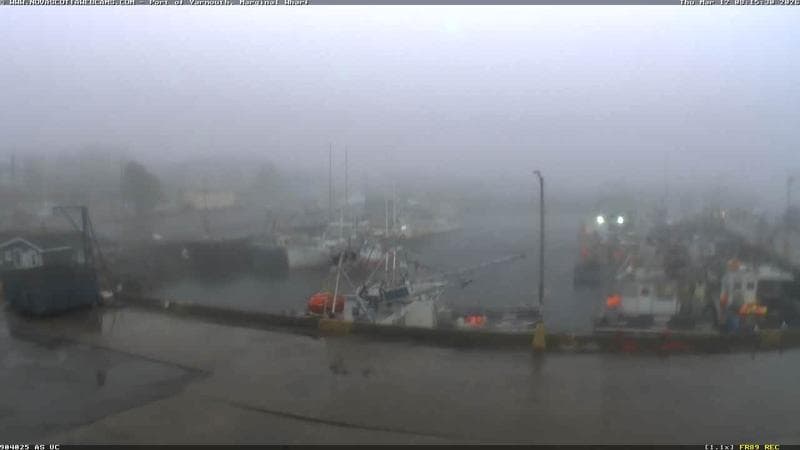 Marginal Wharf South