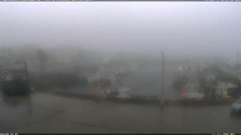 Marginal Wharf South