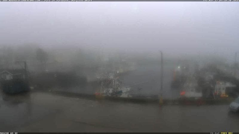 Marginal Wharf South