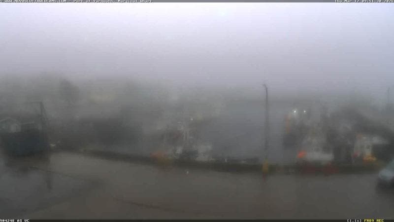 Marginal Wharf South