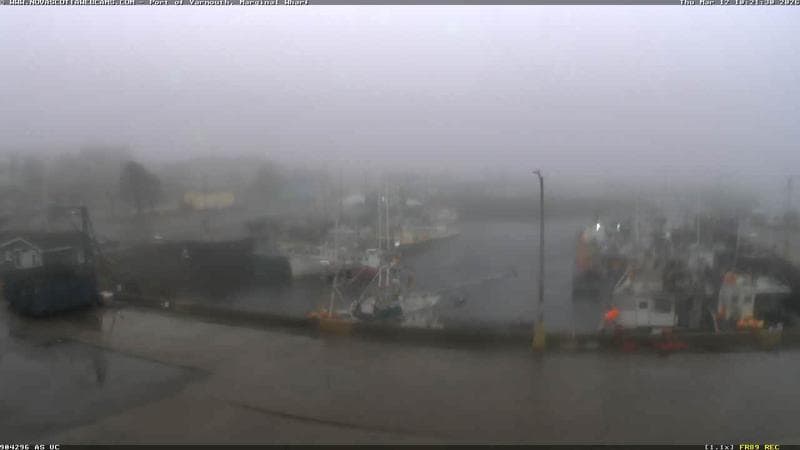 Marginal Wharf South