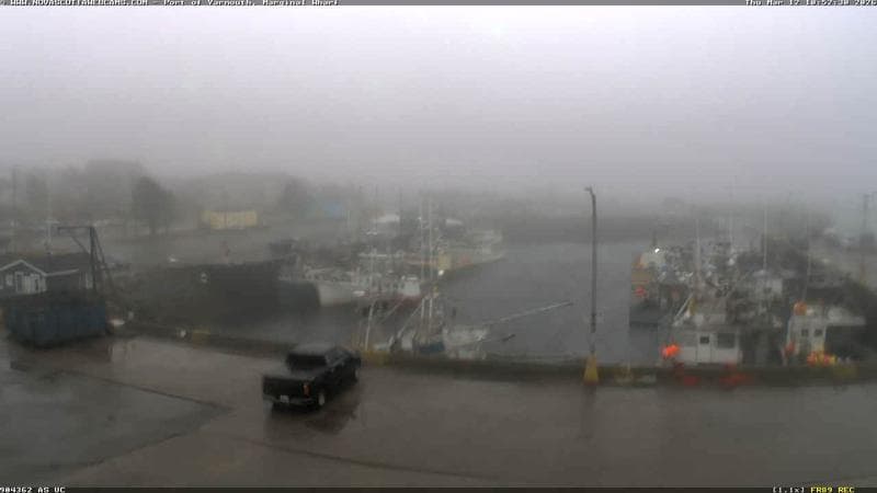 Marginal Wharf South