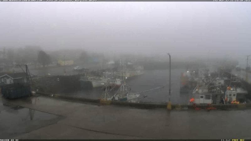 Marginal Wharf South