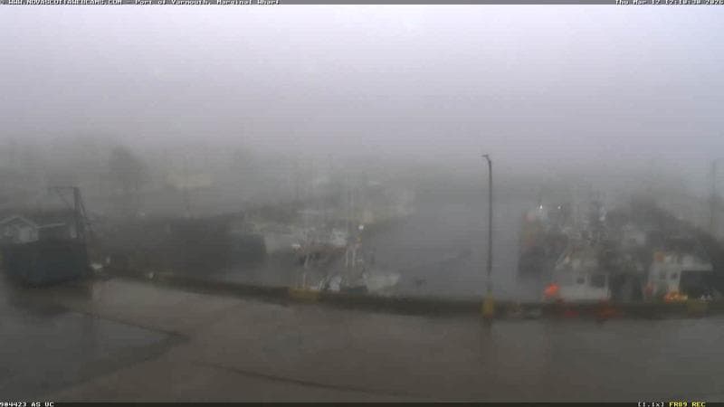 Marginal Wharf South