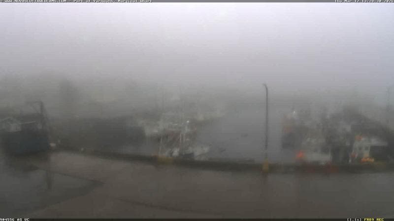 Marginal Wharf South