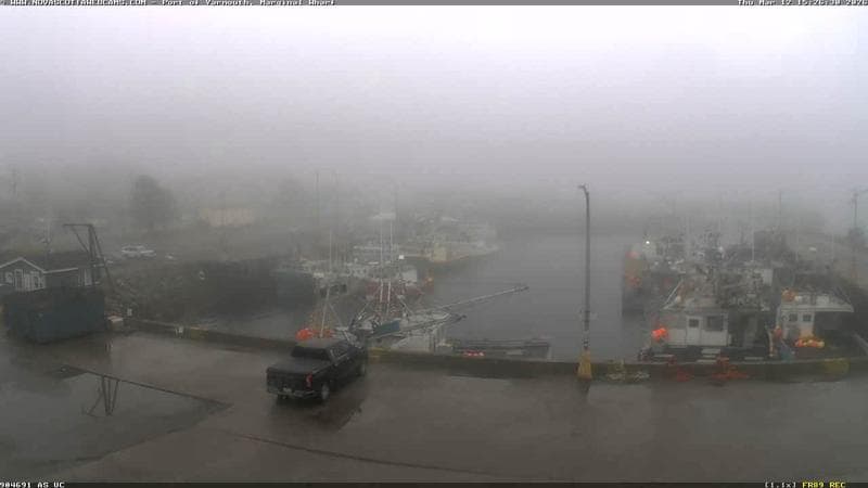 Marginal Wharf South