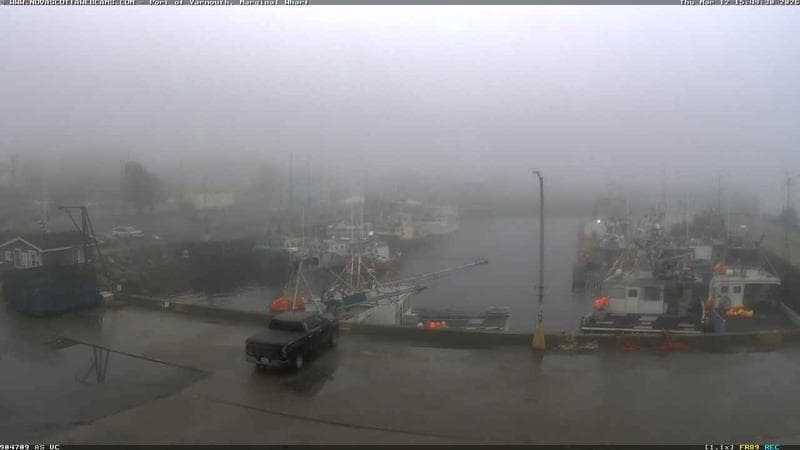 Marginal Wharf South