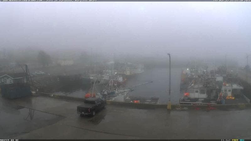 Marginal Wharf South