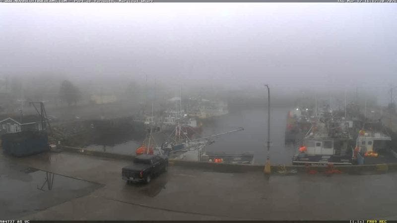 Marginal Wharf South