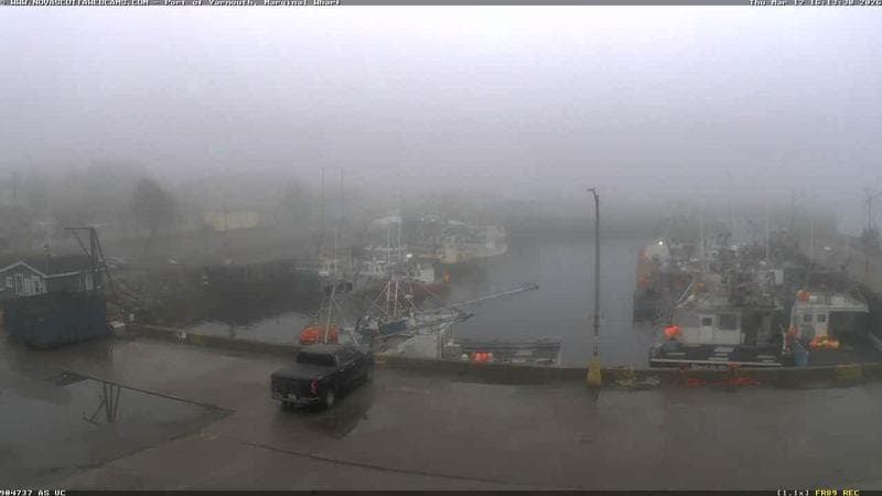 Marginal Wharf South