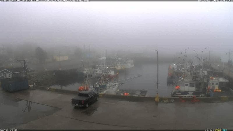 Marginal Wharf South