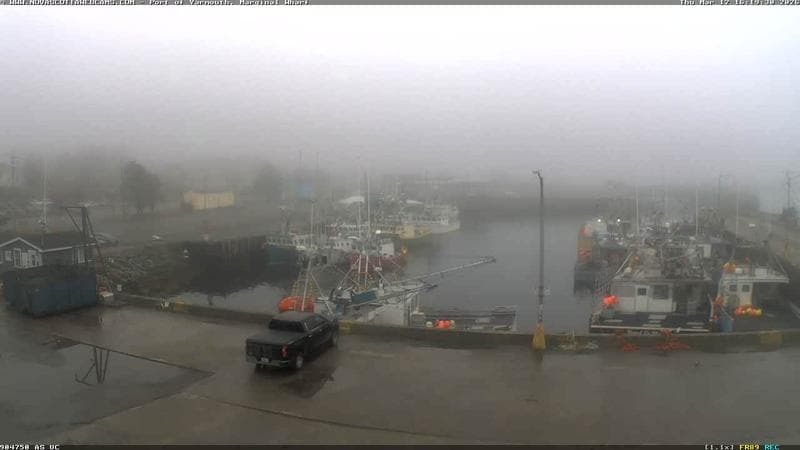 Marginal Wharf South