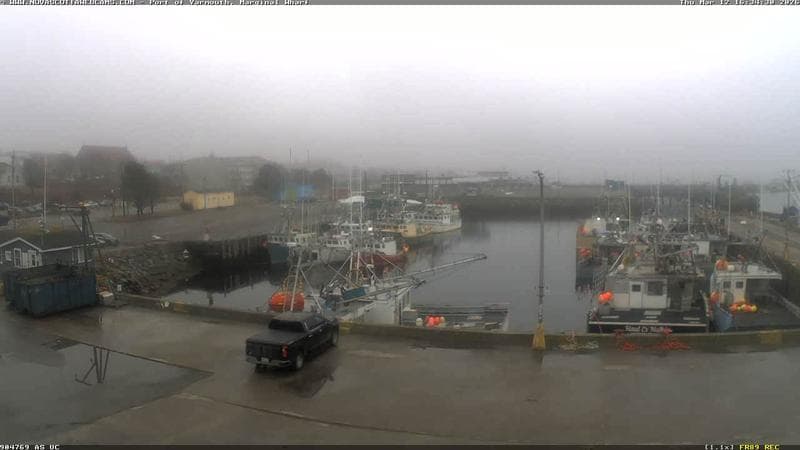 Marginal Wharf South