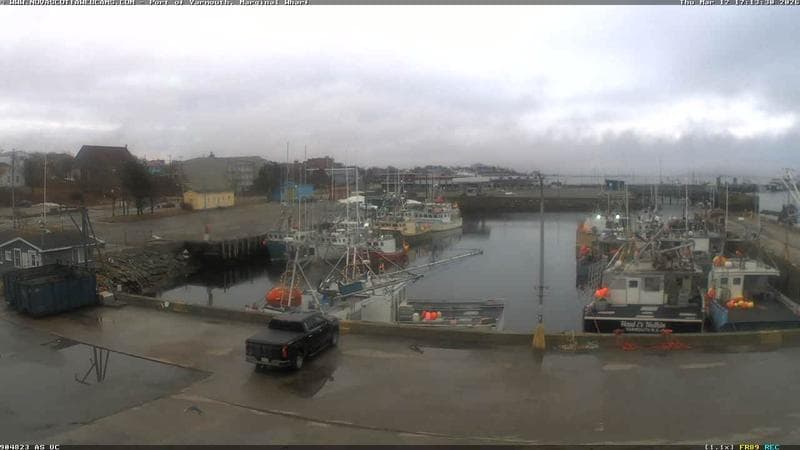 Marginal Wharf South