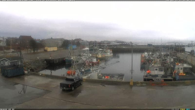 Marginal Wharf South