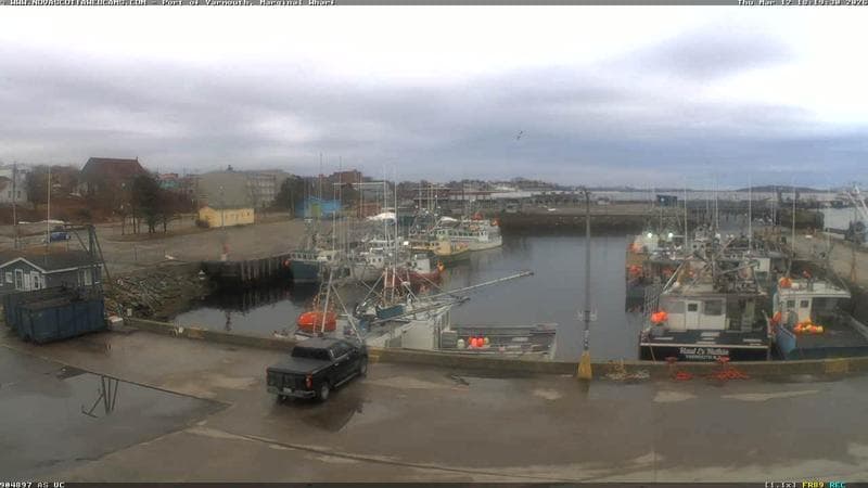 Marginal Wharf South