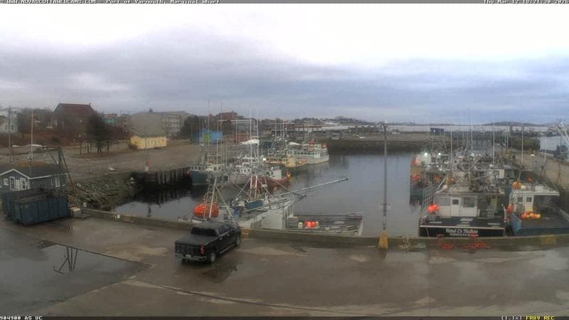 Marginal Wharf South