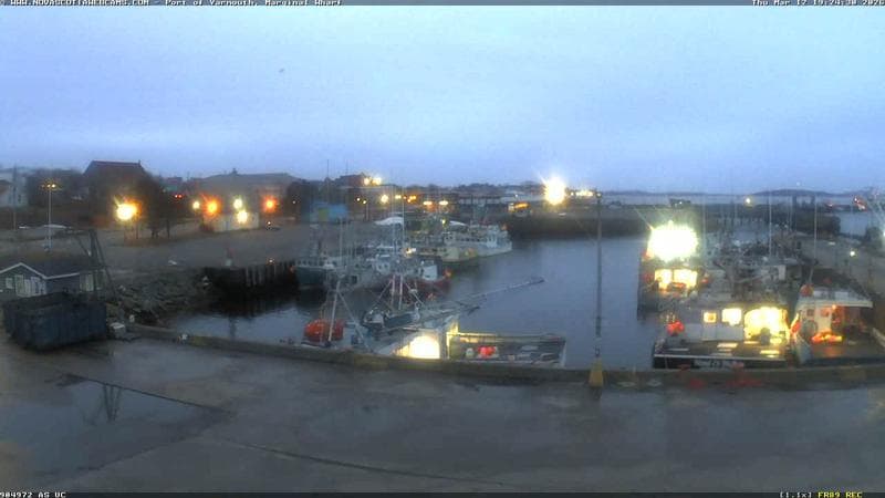 Marginal Wharf South