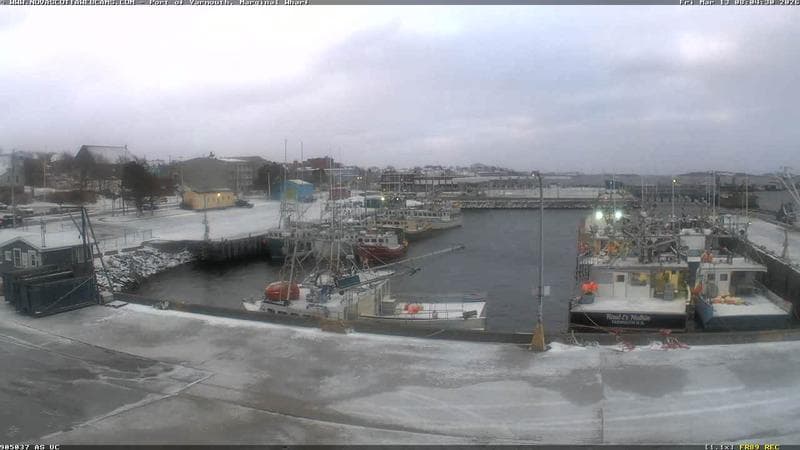 Marginal Wharf South