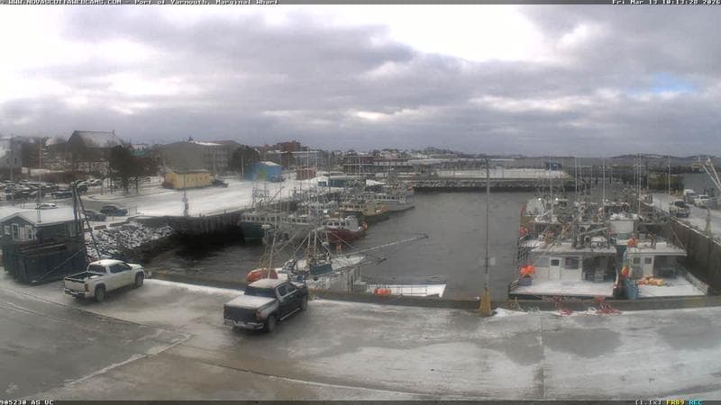 Marginal Wharf South