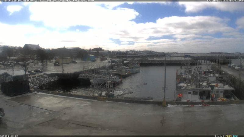 Marginal Wharf South