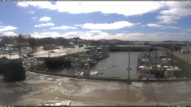 Marginal Wharf South