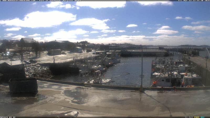 Marginal Wharf South