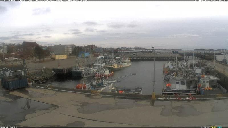 Marginal Wharf South