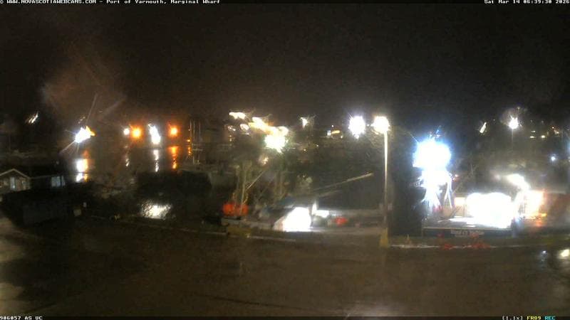 Marginal Wharf South