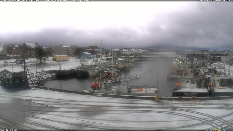 Marginal Wharf South