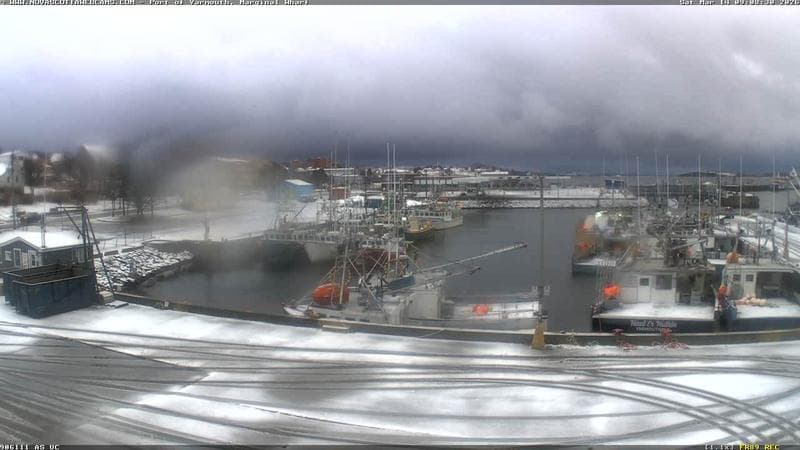 Marginal Wharf South